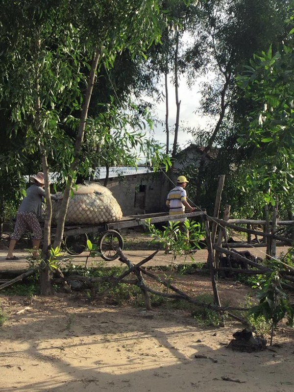 Tham canh cho ca e am, bai bien khong bong nguoi o Quang Tri-Hinh-8